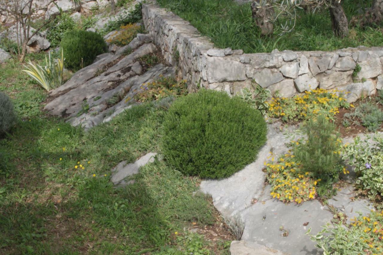 Apartmani "Mali Mago" Tribalj Dış mekan fotoğraf